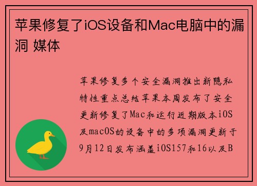 苹果修复了iOS设备和Mac电脑中的漏洞 媒体